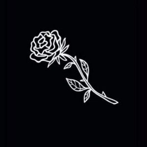 Meet your Posher, Daisy